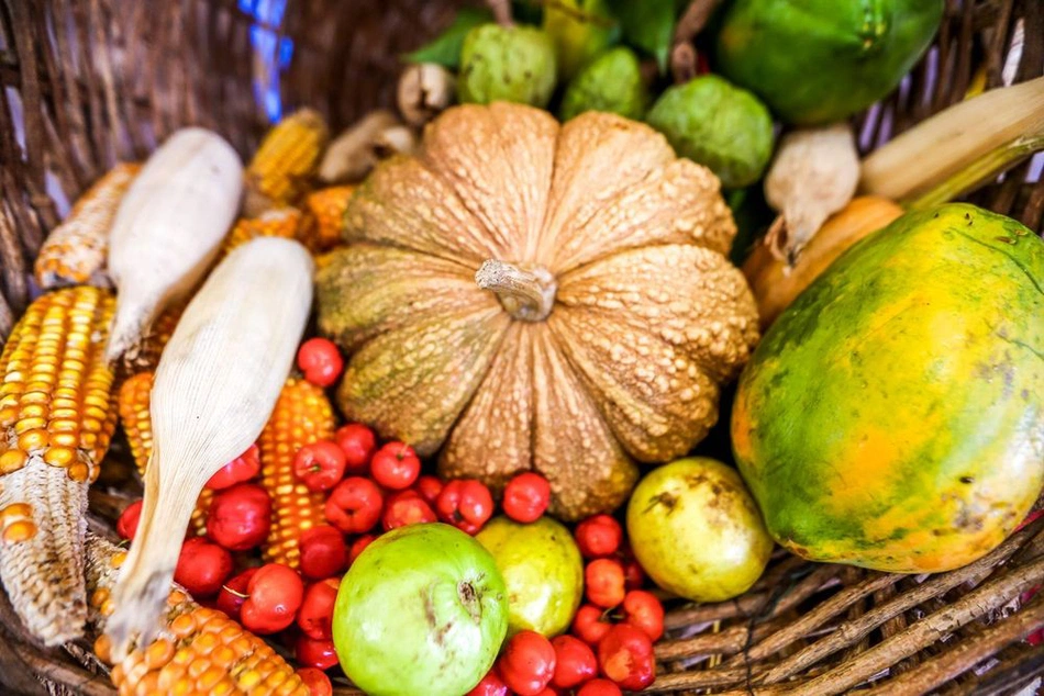 Agricultura Familiar: programa beneficia mais de 32 mil famílias do Piauí