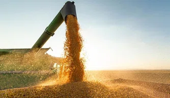 Piauí alcançou em abril o maior valor em exportações do estado neste ano