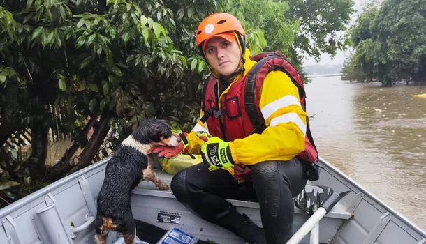 Bombeiros do Piauí ajudam a resgatar mais de 30 animais no Rio Grande do Sul