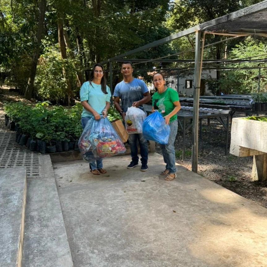 Servidores de Teresina transformam plástico em mudas plantas