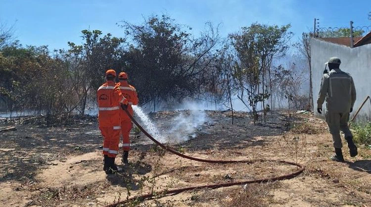 Corpo de Bombeiros Militar do Piauí (CBMEPI) combatendo incêndios em vegetação.