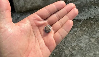 PM é acionada após disparos de arma de fogo
