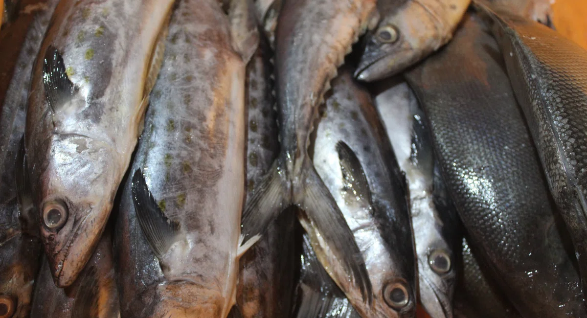 Mercado do Peixe