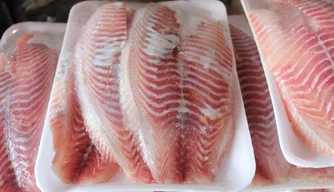 Mercado do Peixe