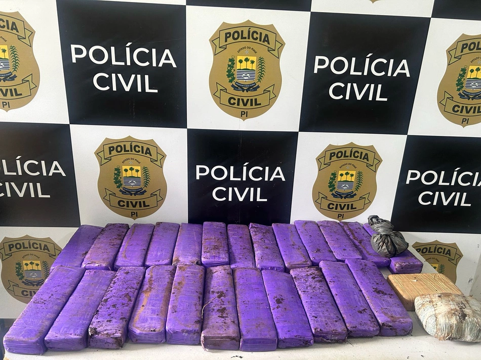 Drogas apreendidas durante ação em Amarante