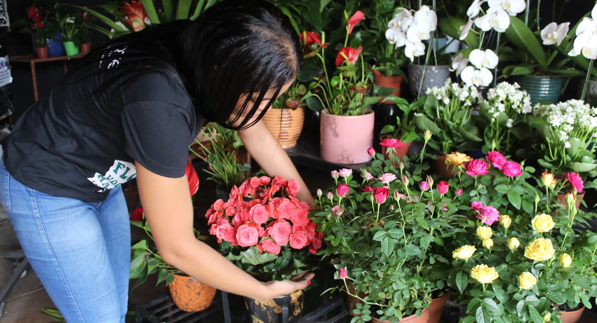 Florista organiza muda de flores