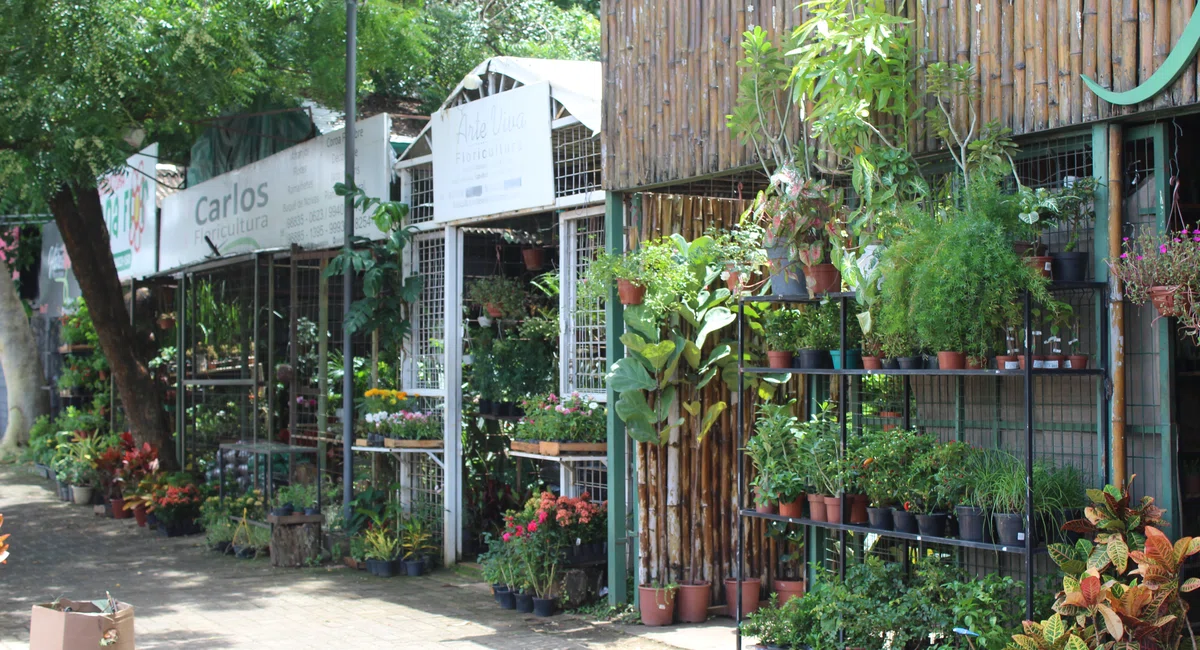 Shopping Natureza em Teresina