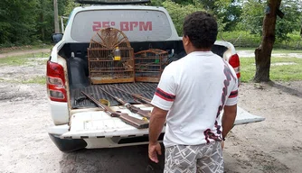 Suspeito preso pela Polícia Militar