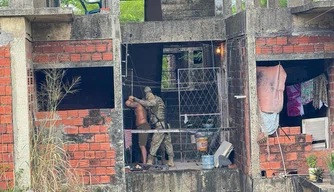 Operação DENARC 33