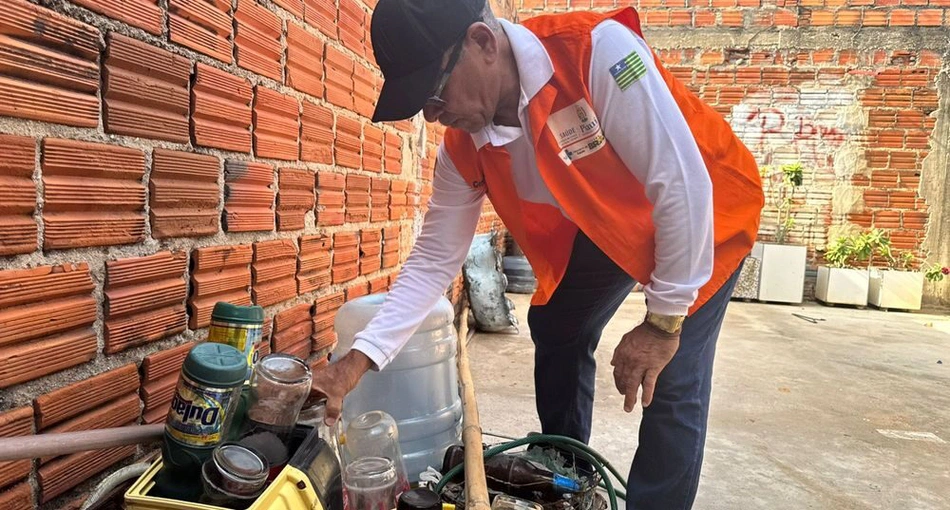 Ações de enfrentamento do mosquito Aedes aegypti