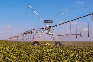 Baixa Grande do Ribeiro é22ª  entre os 100 maiores do agronegócio