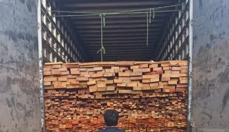 PRF apreende mais de 50 m³ de madeira transportada ilegalmente no Piauí