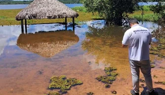 Proliferação de aguapés nos rios Poti e Parnaíba
