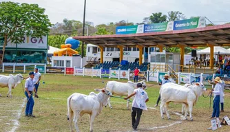 Expoapi