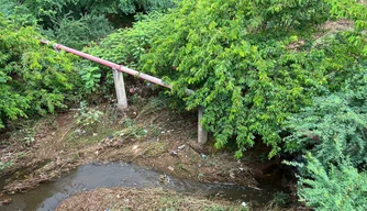 Rio Guaribas
