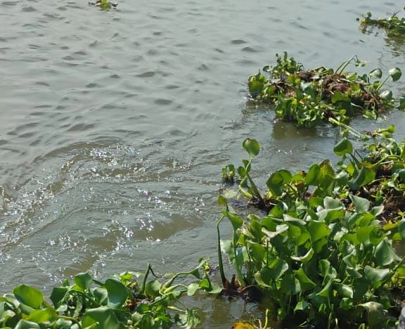 Vítima foi encontrada por pescadores às margens do Rio Parnaíba