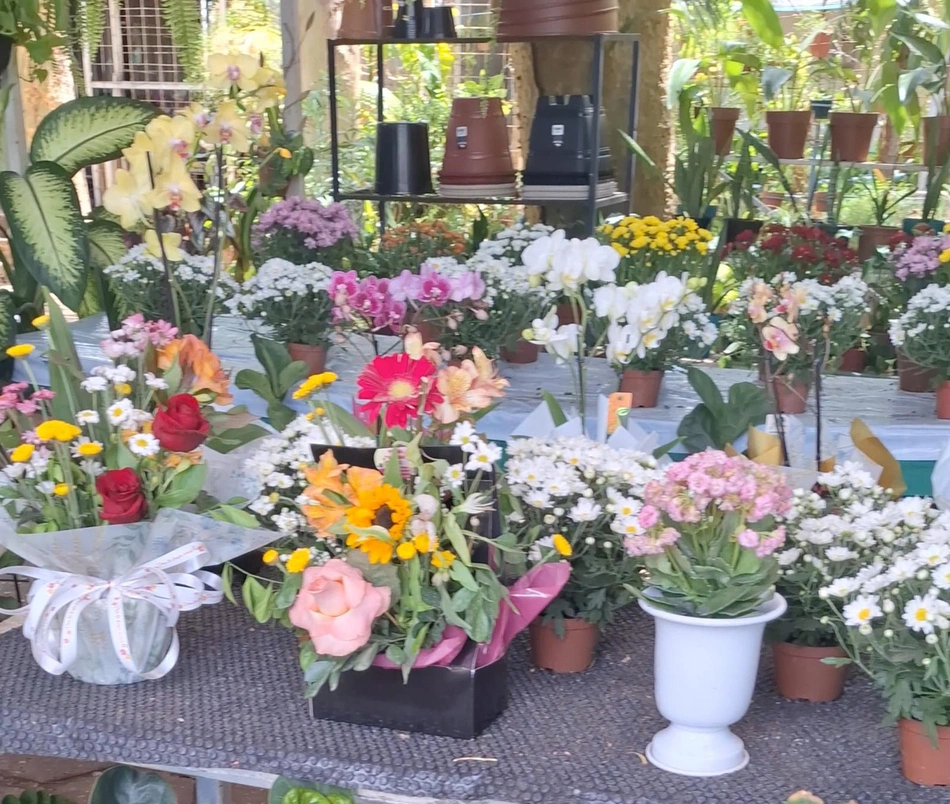 Shopping Natureza