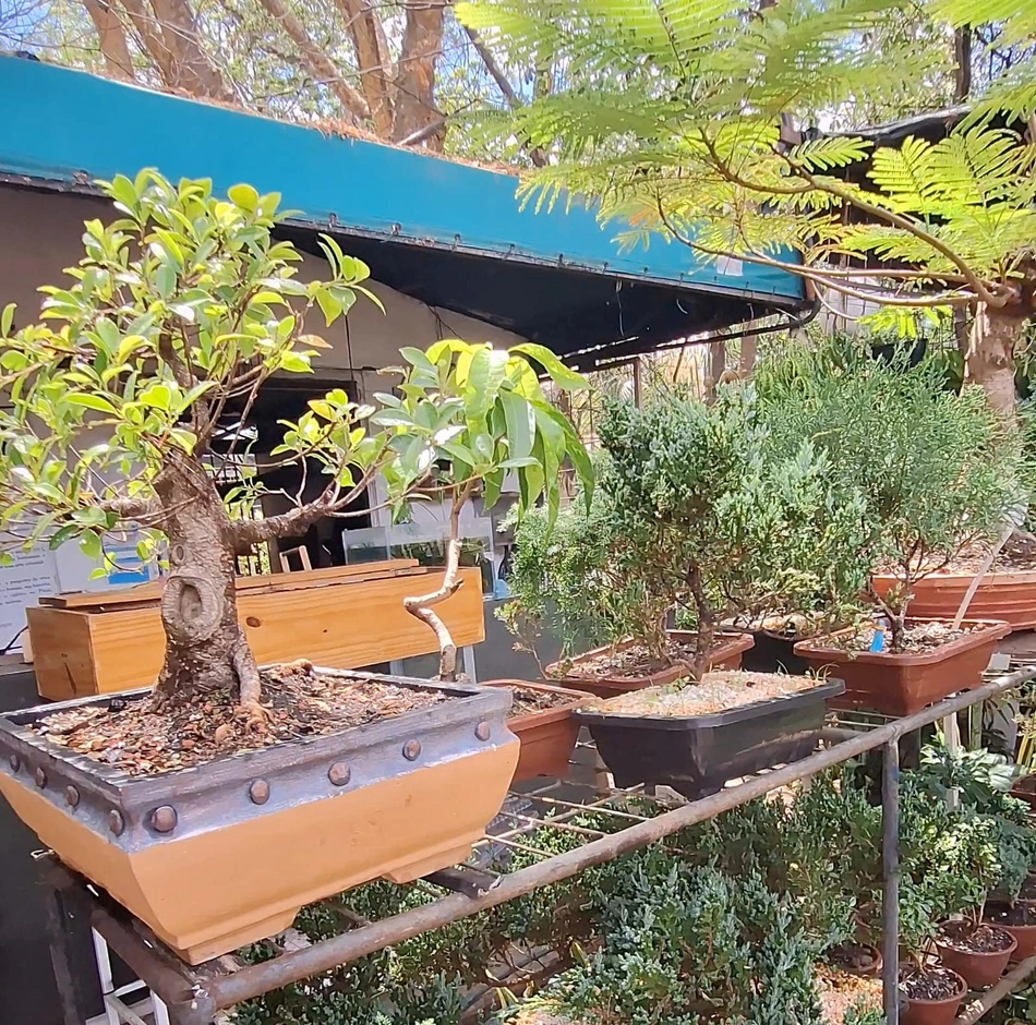 Shopping Natureza