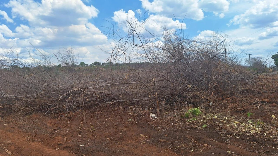 Queimada ilegal em Jardim do Mulato