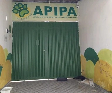 Apipa promove campanha de doações para alimentar quase 400 animais em ...