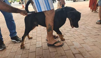 Vacinação contra a raiva