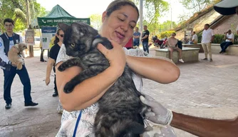 Vacinação contra raiva em animais