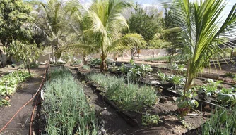 Agricultura familiar
