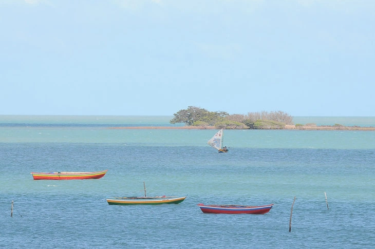 Cajueiro da Praia
