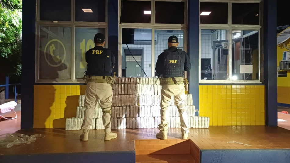 Apreensão de 200 kg de skunk, a supermaconha