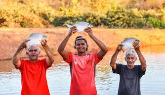 Piscicultores no Piauí