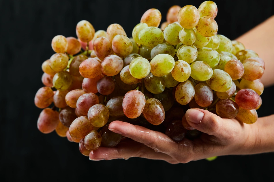 Uvas