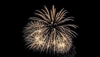 Fogos de artificio