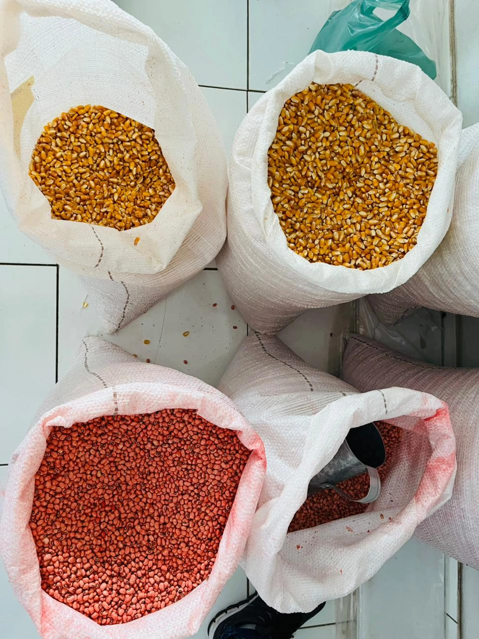 Entrega de sementes a produtores rurais