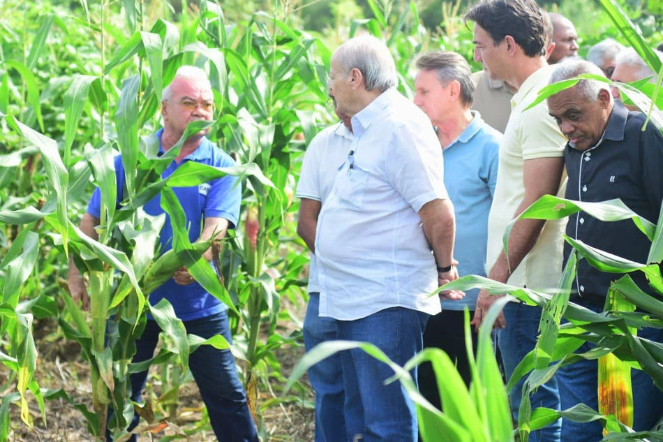 Campo agrícola da Santa Maria da Codipi