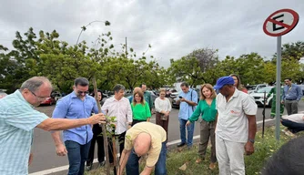 SEMAM em ação de plantio