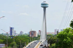 Teresina recebe XII Encontro Nordestino de Arborização Urbana 