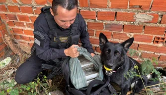 SSP apreende cerca de 25 quilos de droga em Teresina