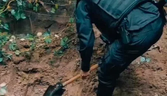 Corpo encontrado enterrado em área de mata é identificado
