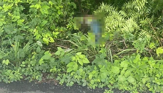 Corpo encontrado às margens de avenida em Teresina