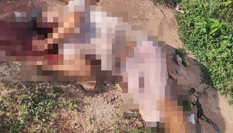 Vítima foi alvejada com dois disparos de arma de fogo