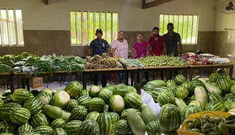 Alimentos entregues às famílias