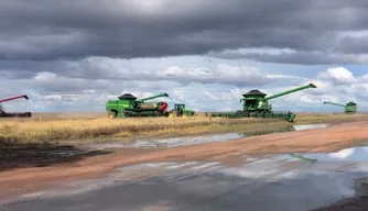 Chuvas intensas atrasam colheita da soja no sul do Piauí