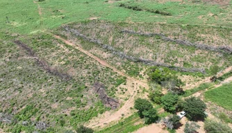 Operação Caatinga Resiste, desmatamento ilegal, crime ambiental