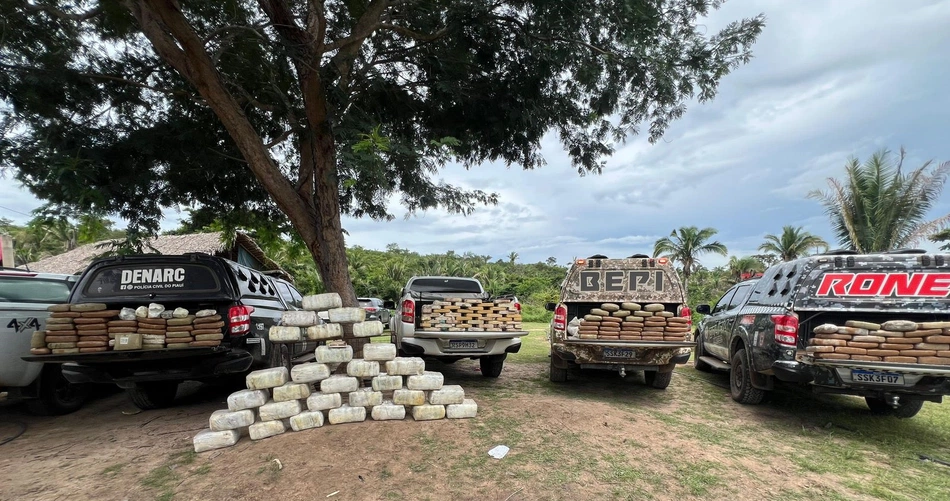 Drogas apreendidas em sítio na zona rural de Caxias