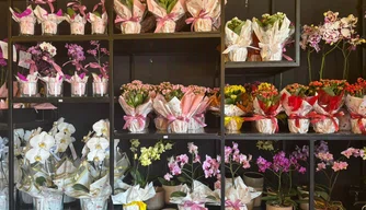 Shopping Natureza