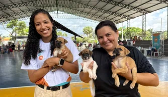 Semarh lança edital para acolhimento de animais vítimas de maus-tratos no Piauí