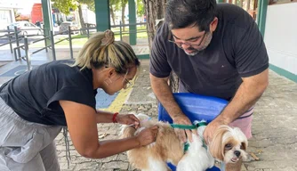 Campanha antirrábica imuniza mais de 125 mil animais em Teresina e vacinação segue disponível
