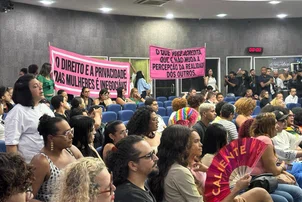 Vereadores adiam votação de projeto sobre banheiros femininos