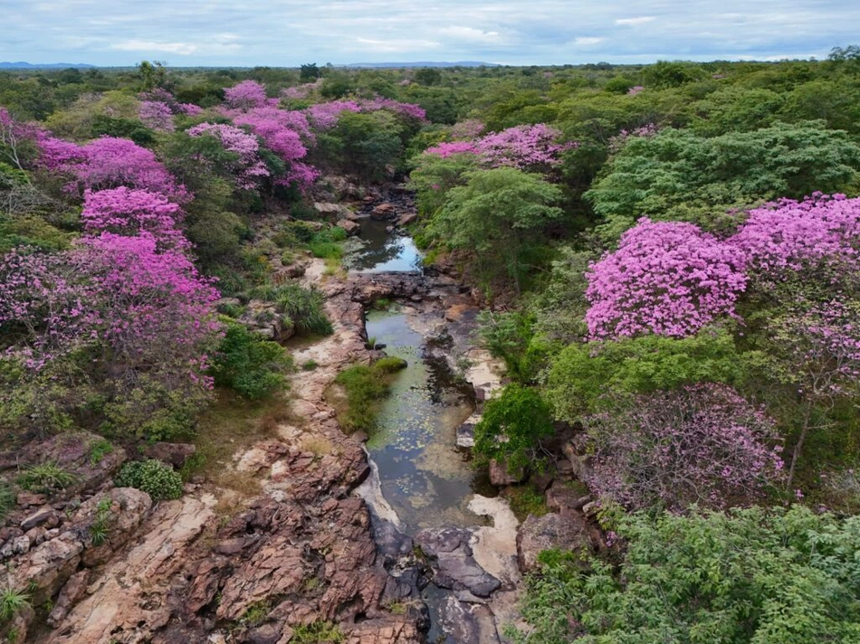 Cânion do Rio Poti