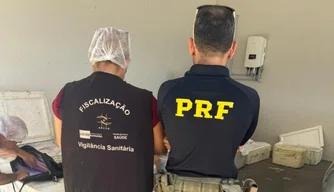 PRF apreende 650 kg de alimentos perecíveis transportados sem documentação fiscal em Parnaíba